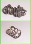 carb spring.jpg